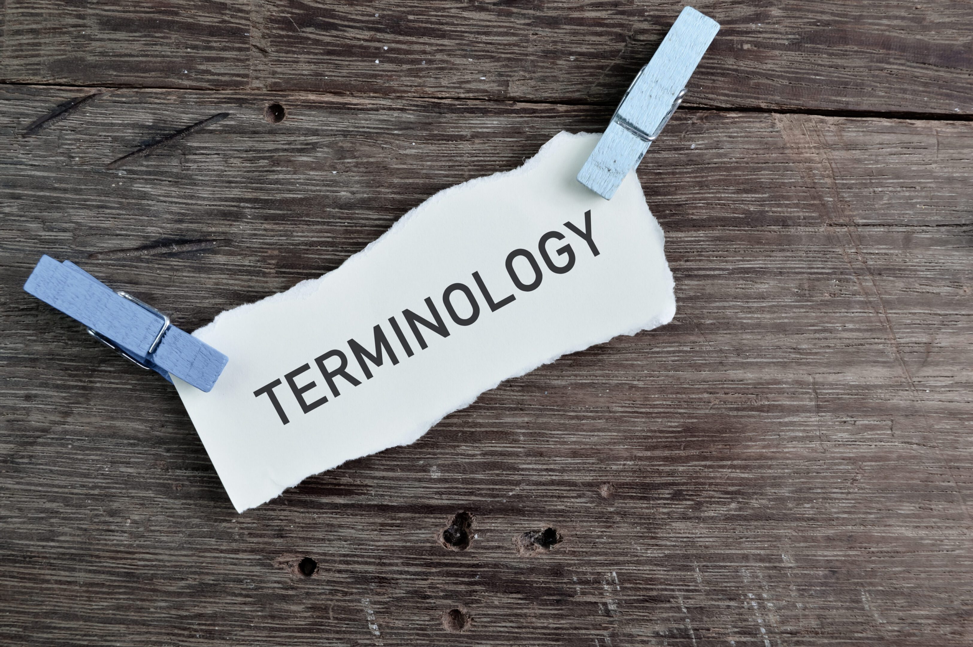 The word 'Terminology' written on paper, symbolizing language, definitions, and communication.